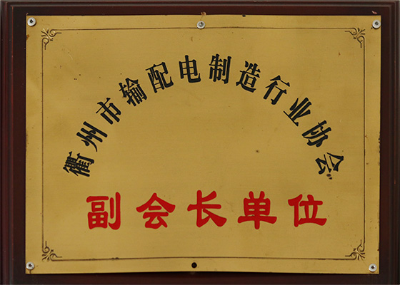 衢州市輸配電制造行業(yè)協(xié)會(huì)副會(huì)長(zhǎng)單位